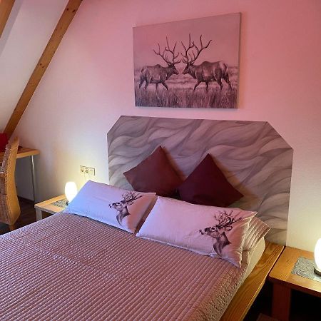 Gipfel Lounge Apartment Goslar Exterior photo
